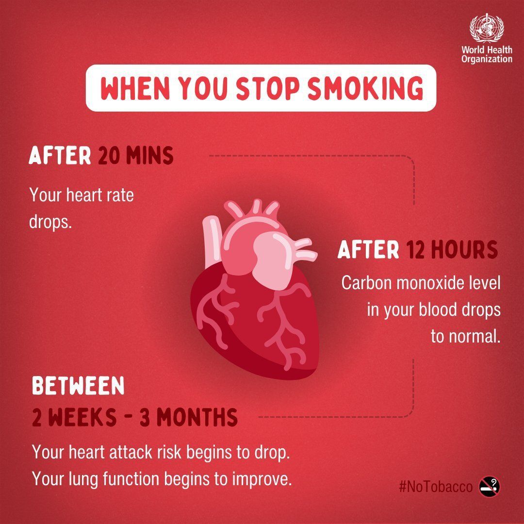 WHOSEARO's tweet photo. Quitting tobacco has immediate and long-term benefits for your health. Every step away from smoking helps your body heal.

⏱️ 20 minutes: Heart rate drops
🫁 12 hours: Carbon monoxide levels return to normal
❤️ 2 weeks–3 months: Lung function improves and heart attack risk begins to fall

It’s never too late to quit.

#CommitToQuit #TobaccoFree #QuitSmoking #NoTobacco
