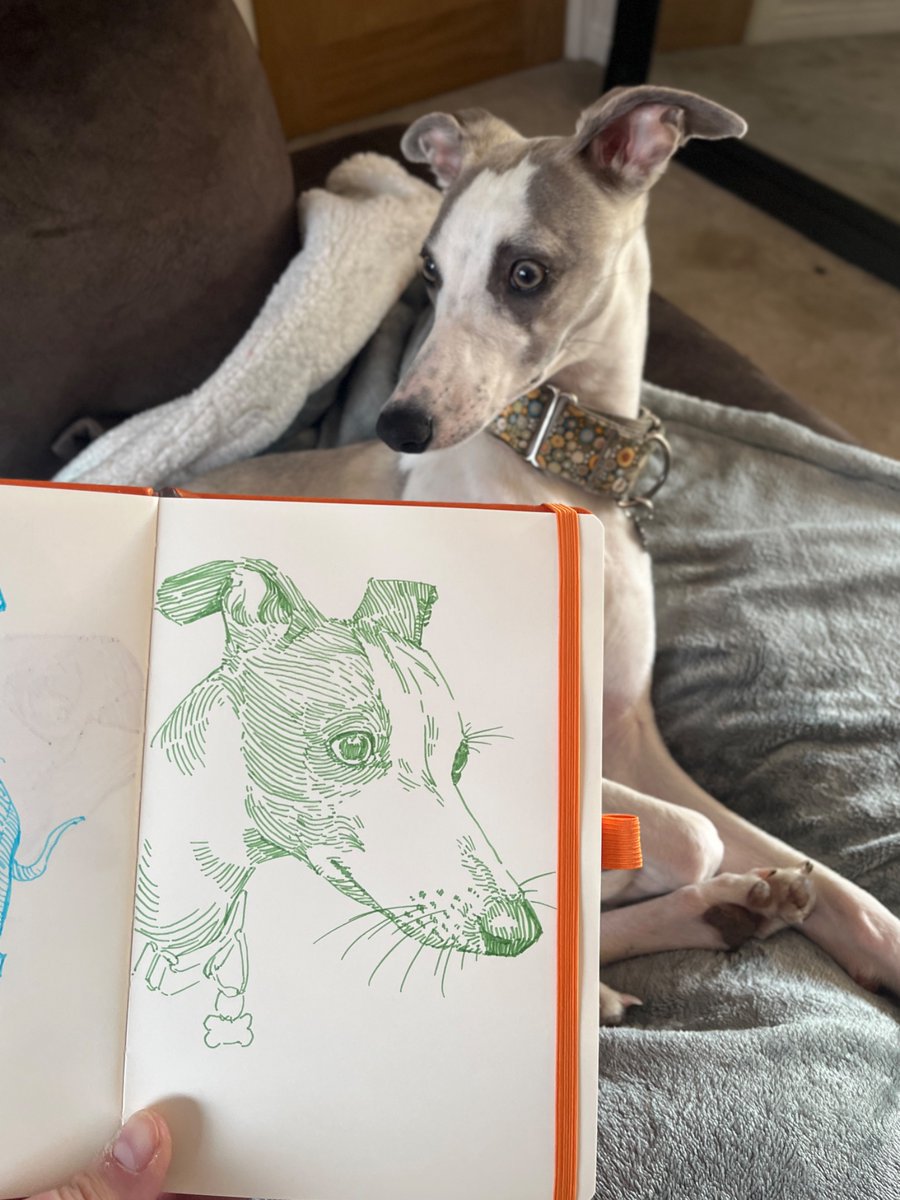 SamJonesArt's tweet photo. Today’s noodle sketch https://t.co/tDK2IOW9ky