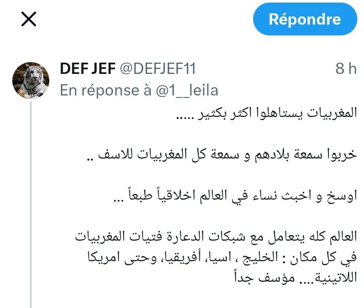 Leila Ben Shitrit ✨ⵍⴰⵢⵍⴰ ⴱⵏ ⵛⴻⵜⵔⵉⵉⵜ✨ tweet media