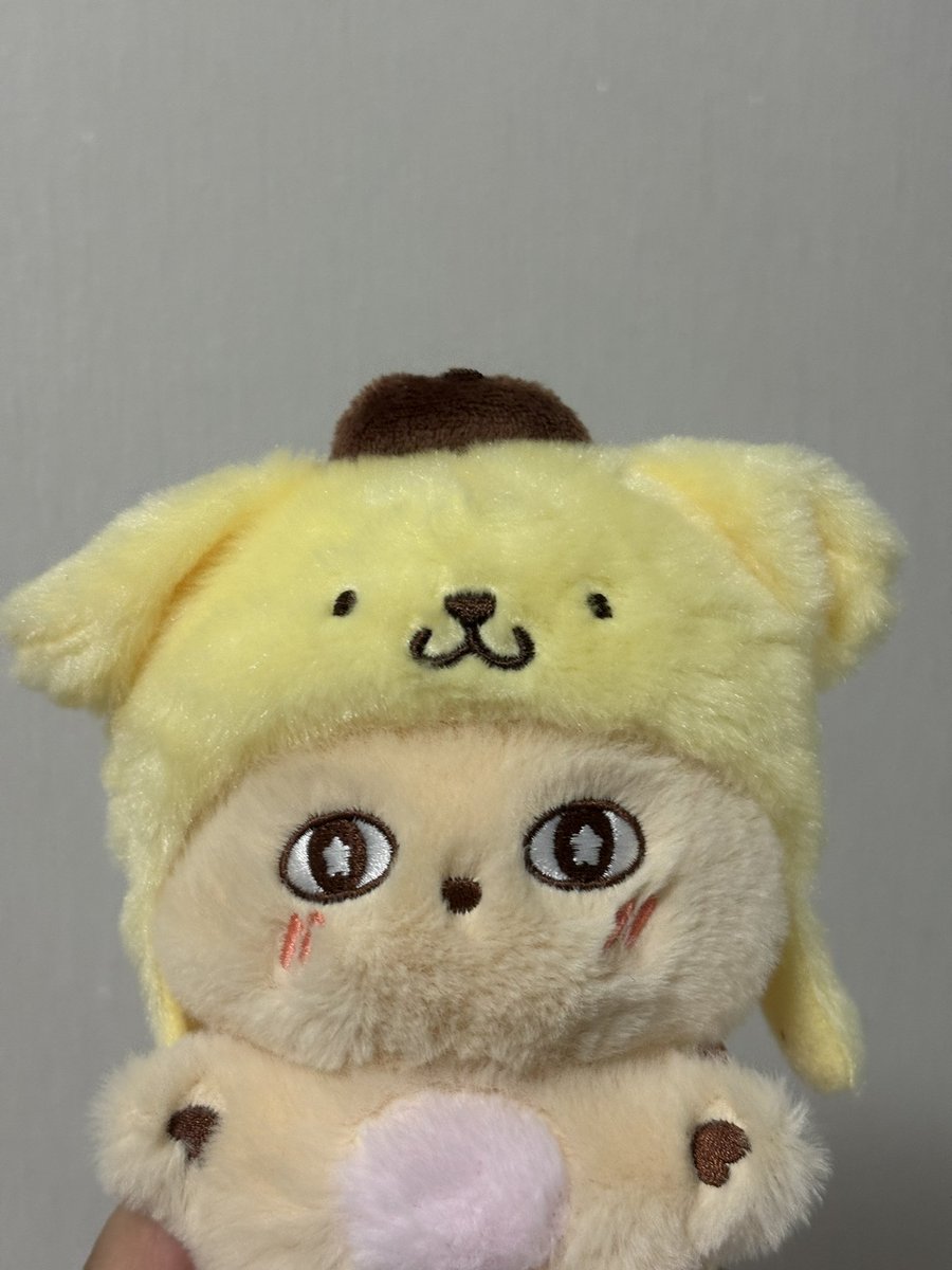 윤 tweet media