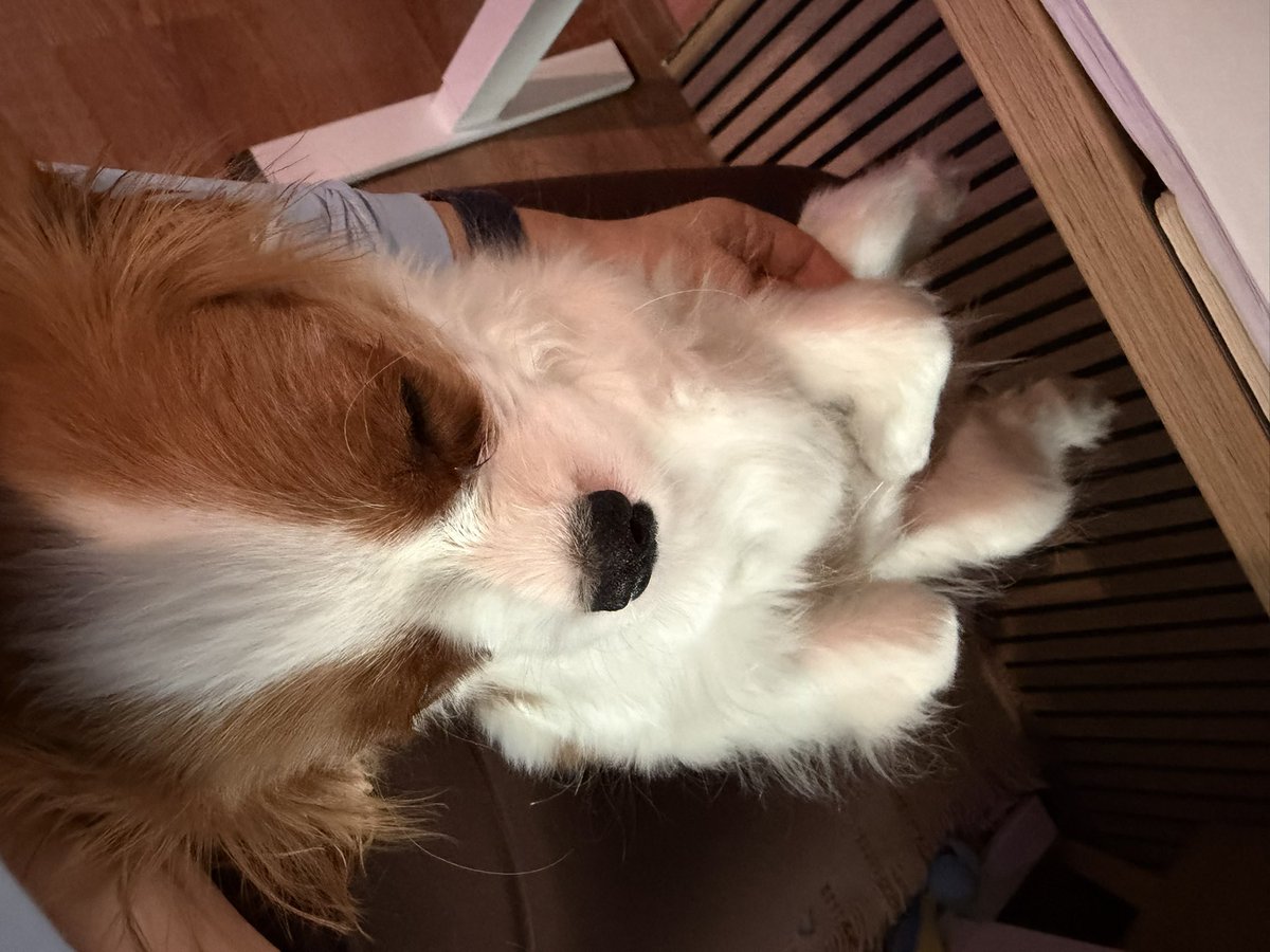 AvSpoon's tweet photo. Я просто не могу на него наглядеться, настолько он прекрасен🥰 https://t.co/HTO2seqyWr