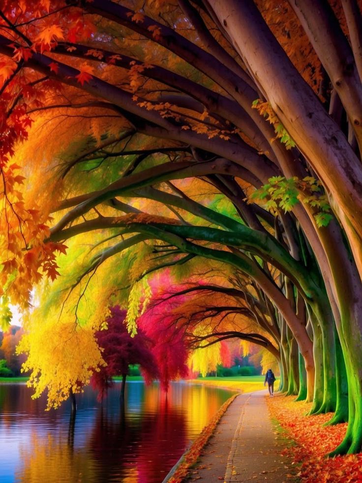 🌺🌼🌿🌼 Ǥ𝓻𝐚ｚɨａ 🌼🌿🌼🌺 tweet media