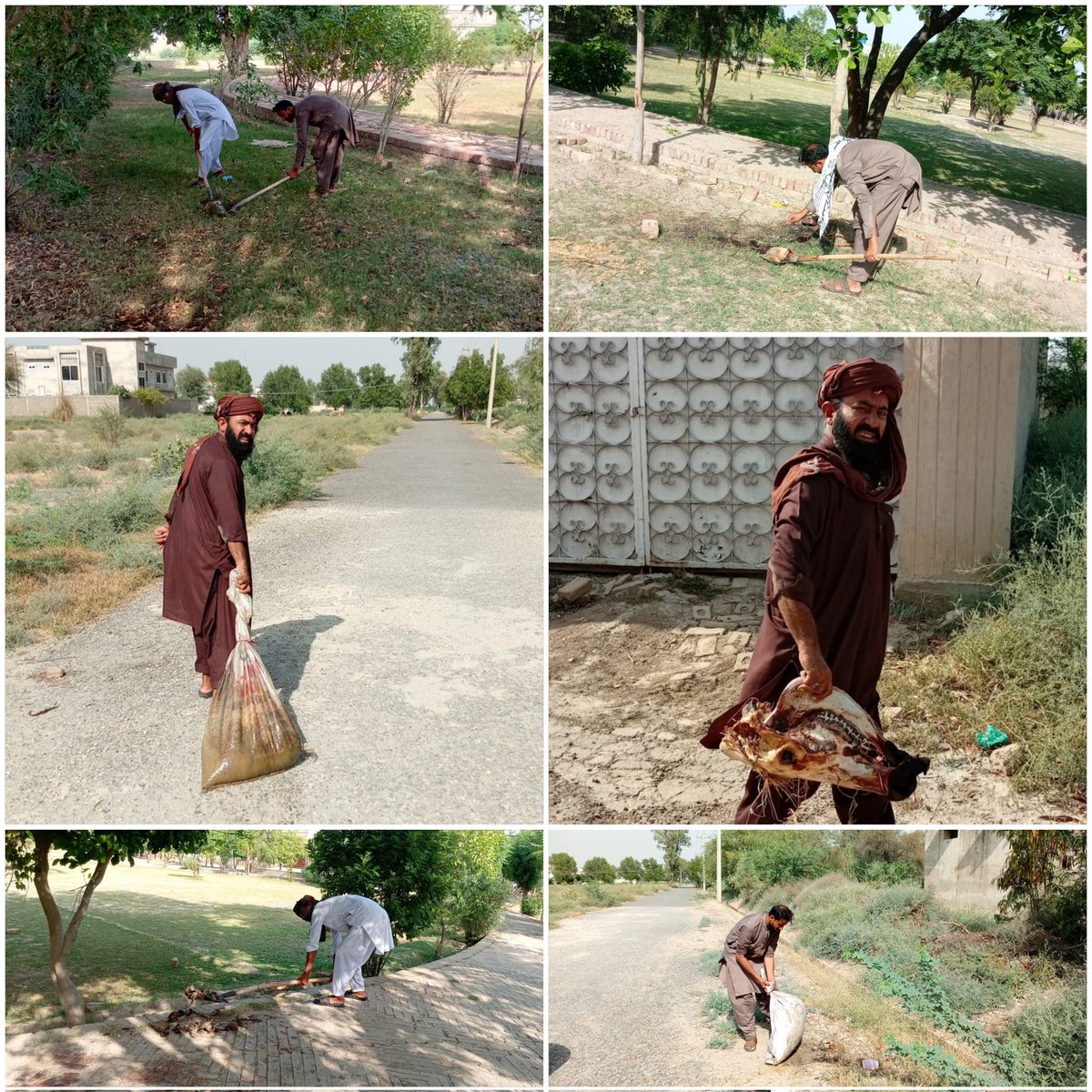 UADAdik's tweet photo. On the direction of the Director UADA D.I.KHAN, on the 3rd day of Eid-ul-Adha, the cleaning of Qurbani waste materials in the Township was carried out on a top priority basis by UADA field staff. The staff remained actively engaged in ensuring cleanliness and proper sanitation. https://t.co/Lu25PcoxSp