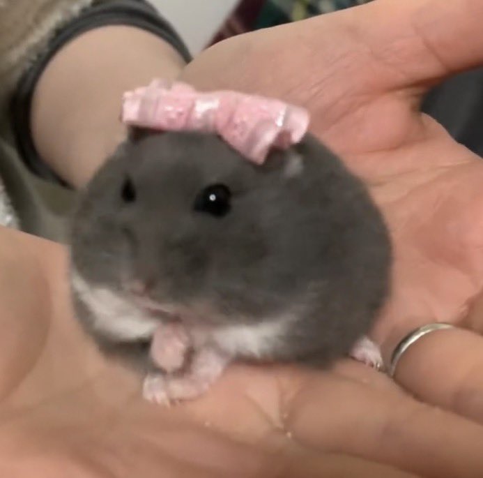 namujjinie's tweet photo. NOOOOOOOOOOOOIO https://t.co/e3DRKKFYp0