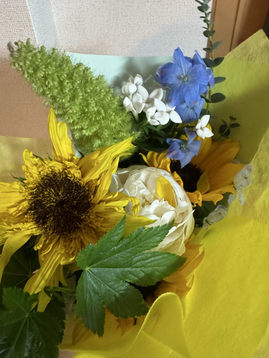 syaokom's tweet photo. 10年以上髪を切ってもらっていた美容師さんが引退されるとのことでお花を買ってきました☺️

いろいろある中でその方のイメージが黄色だったのでひまわりにしたんですが外がとんでもない強風であっという間に花びらが、、それでも喜んでいただけてよかったです。

長い間お世話になりました🙇‍♂️

#花束 https://t.co/xyYKsuYDe3
