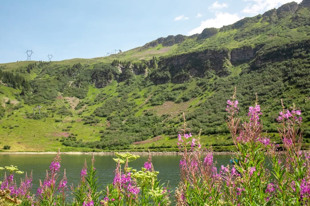 FLAINESki's tweet photo. Mode rando + pique-nique activé ✅
Nos spots préférés pour profiter en famille cet été 👨‍👩‍👧‍👦🌞

⛰️ Lac de Vernant – cadre bucolique  🌿
⛰️ Flaine les Gérats – pause dans un caquelon géant 🥘😋
🏔️ L’Arbaron – vue imprenable et tables de pique-nique 😍 https://t.co/wDGOgowXit