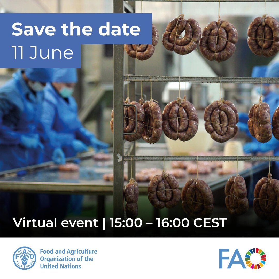 FAOLivestock's tweet photo. #SavetheDate | @FAO Progressive Management Pathway for Terrestrial Animal Biosecurity (#PMPTAB) webinar series 

👉High standards, hidden risks: rethinking biosecurity standards in settings with limited capacity 

🗓️ 11 June | 15:00 CEST 

🔗https://t.co/AywfSpUMrK https://t.co/gOdk8fA8MW
