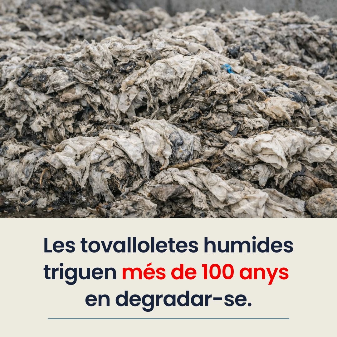 assocCEN's tweet photo. 📊 Cada any:
 • A Catalunya es consumeixen 900 milions de tovalloletes.
 • Uns 9 milions arriben als rius i al mar.
 • Més d'1 milió d'animals marins moren pels residus plàstics.

Una tovalloleta pot trigar més de 100 anys a degradar-se. https://t.co/bjhXqljOri