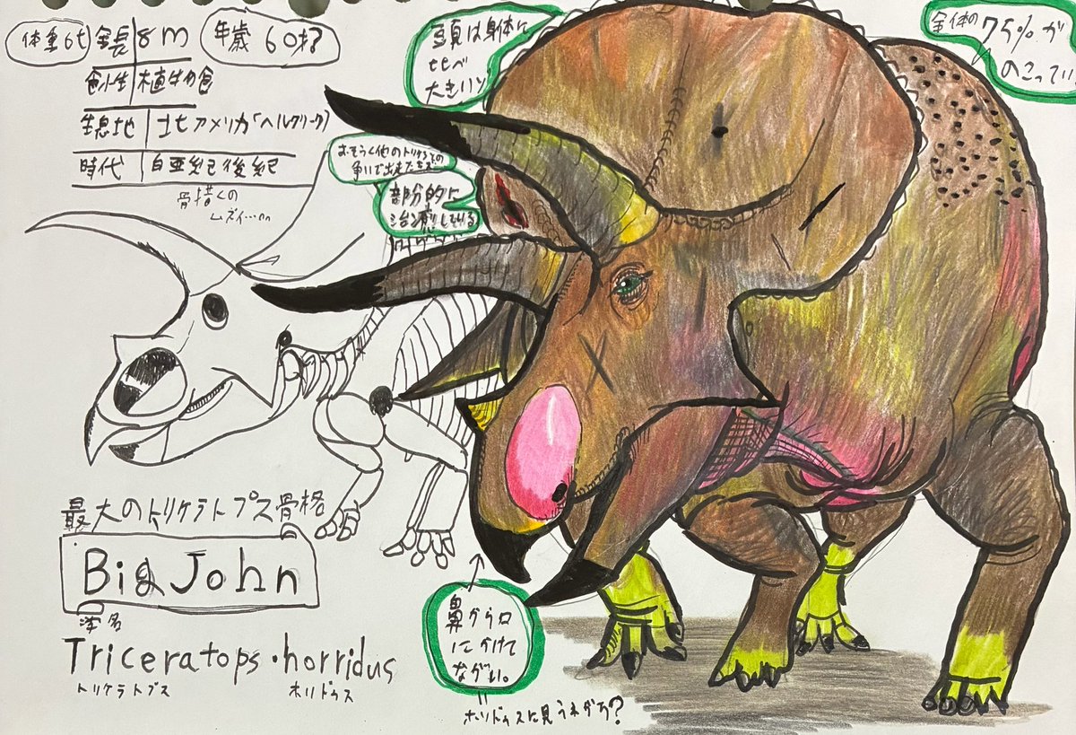 トリケラトプス