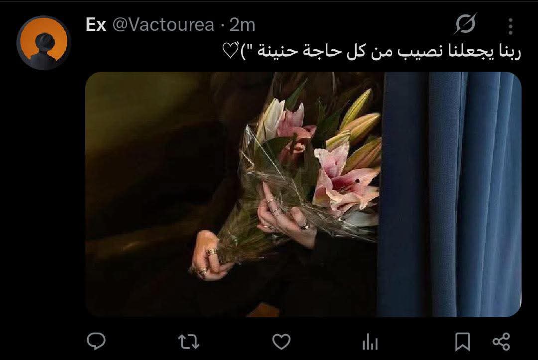 AyaEbrahim1998's tweet photo. ربنا يجعلي نصيب من كل حاجة حنينة ♡゙ https://t.co/VdxBIjNZzX