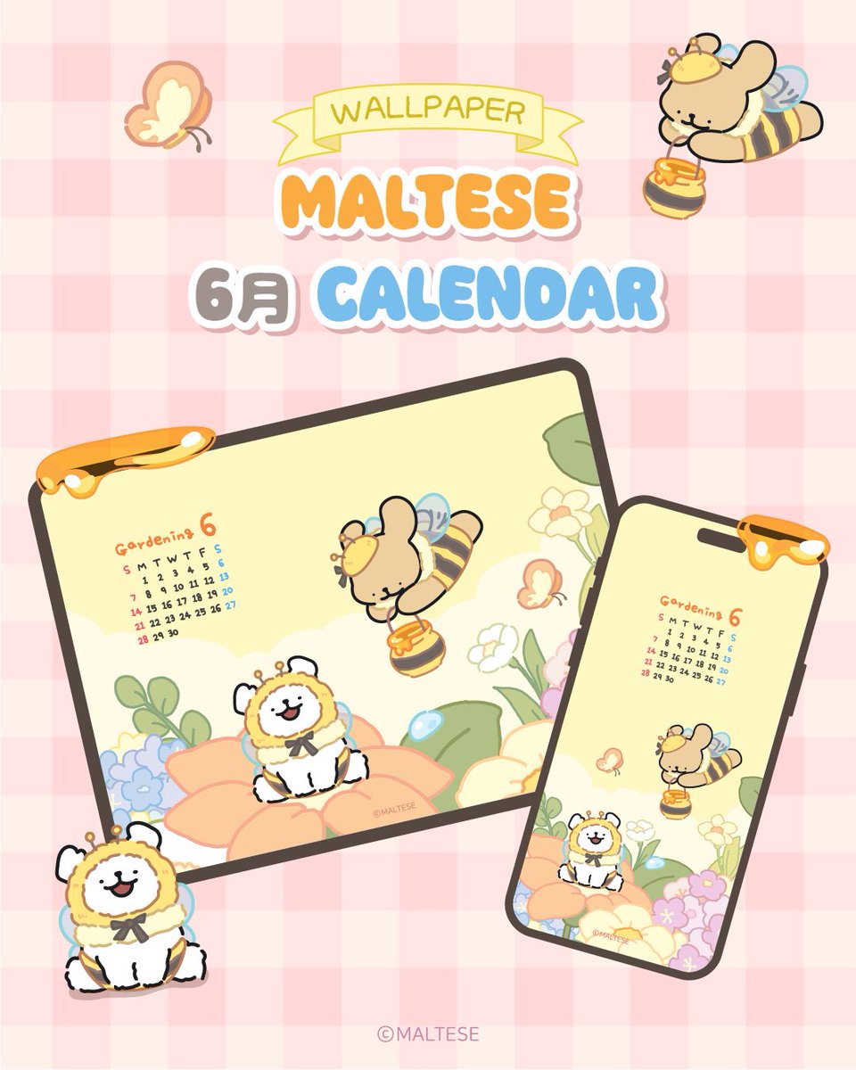 モルチーズ【公式】 (@maltese_jp) / Posts / X