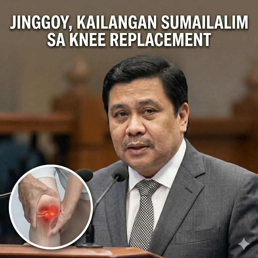 lahingpnoy's tweet photo. Hindi kailangan ni Jinggoy ng knee replacement. Ang kailangan niya replacement sa senado. Puro pagnanakaw ang inaatupag.
@senatePH https://t.co/IUZxzWH8KM