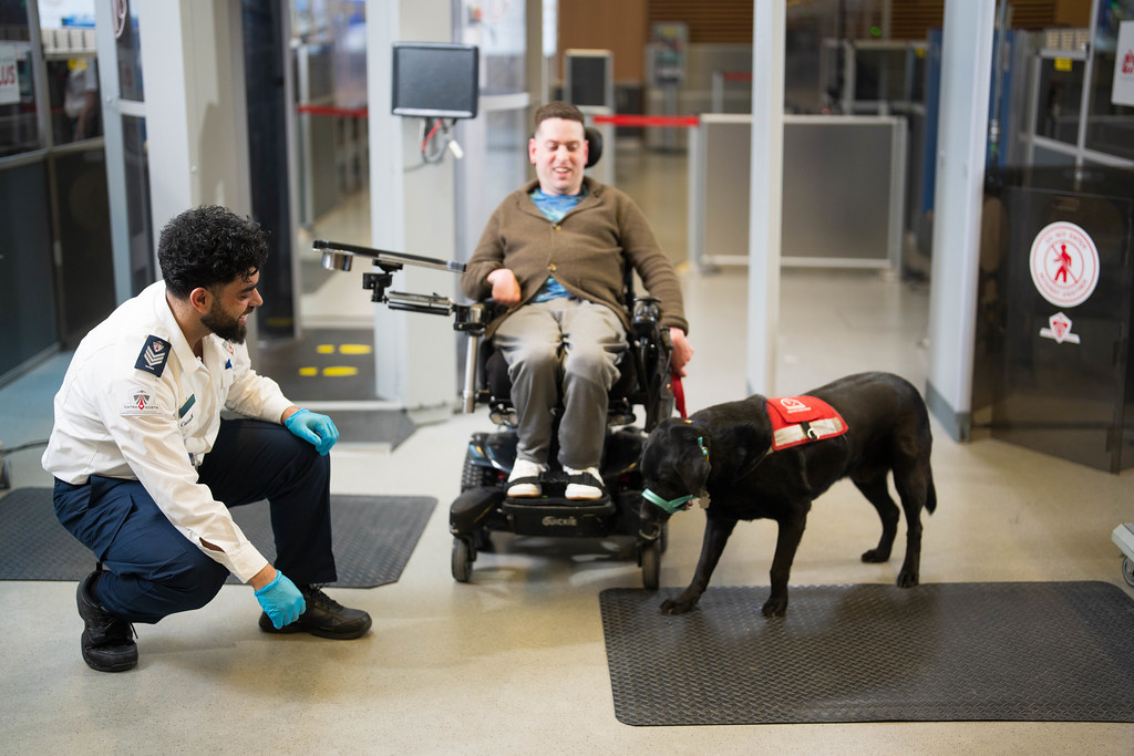 acsta_gc's tweet photo. ♿✈️ C’est aujourd’hui le coup d’envoi de la #SemaineNationaleDeLAccessibilite.

L’accessibilité est une priorité absolue pour l’ACSTA, et nous nous efforçons d’identifier et d’éliminer les obstacles au sein du processus de contrôle de sûreté afin que chaque voyageur puisse passer les points de contrôle plus facilement.

Parmi les améliorations apportées, citons la mise en place de facilitateurs dans certains aéroports et la mise à disposition de livrets d’information réglementaire accessibles à tous les points de contrôle.

🔗Pour en savoir plus sur le plan d’accessibilité de l’ACSTA :
https://t.co/dPpP3I8Pan

#SNIPH #Accessibilite #ACSTA