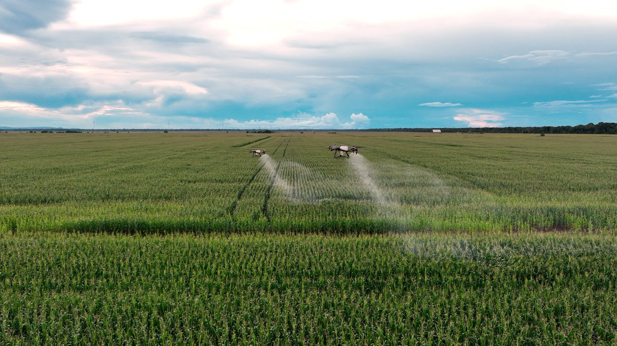 xmobots's tweet photo. SPAD 200B percorre o Brasil para mostrar, na prática, um novo jeito de pulverizar!

✅ Mais de 70 hectares pulverizados por hora; 
✅ Operações simultâneas com dois DJI AGRAS T70P e dois T100; 
✅ Gestão e rastreabilidade com a DAASFY.

Procure a revenda parceira mais próxima! https://t.co/tyJgptKosL