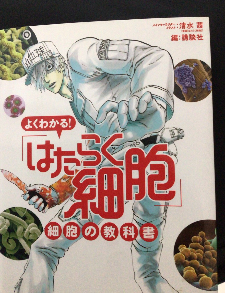 Reina_sub3's tweet photo. はたらく細胞ハマってて〜って話をちょっと前にしたら知り合いの方が貸してくれました
ガチ最高 https://t.co/2wZKMUGcJw