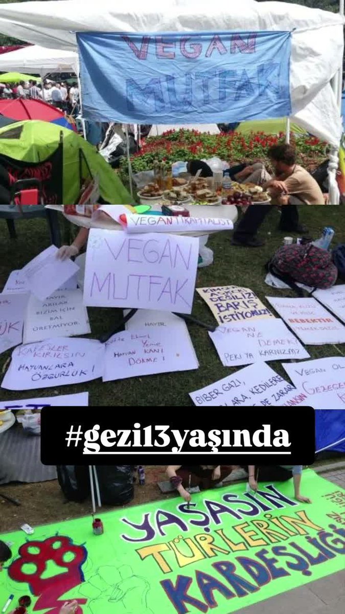 VeganAbolisyon's tweet photo. #Gezi13Yaşında https://t.co/xGUg6LWdhm
