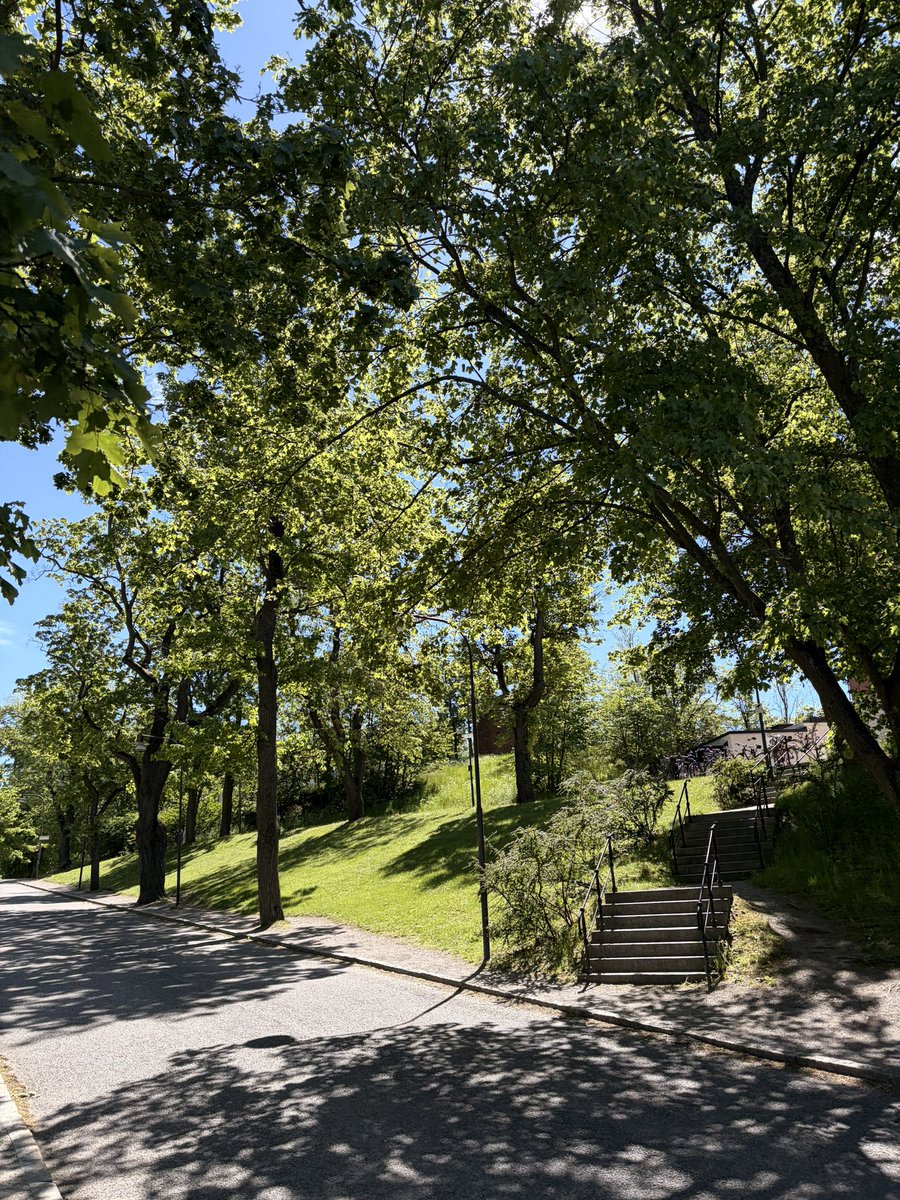 noah_eacc's tweet photo. Stockholmaxxing Day 29

Went for a lunch swim and had a sandwich &amp; Diet Coke by the water. 

Life is good here in Sweden. https://t.co/RanPUIDmIP