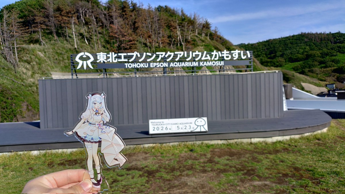 Hibi tweet media