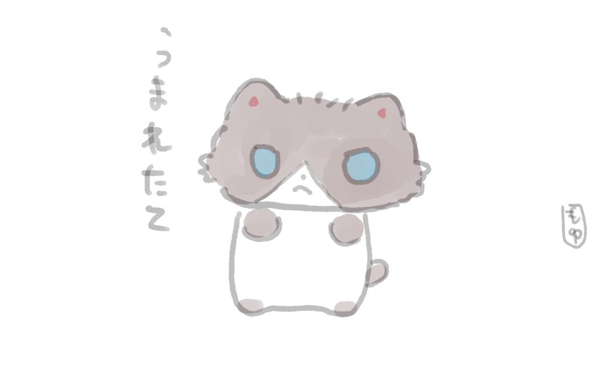 もゆ🦭 tweet media