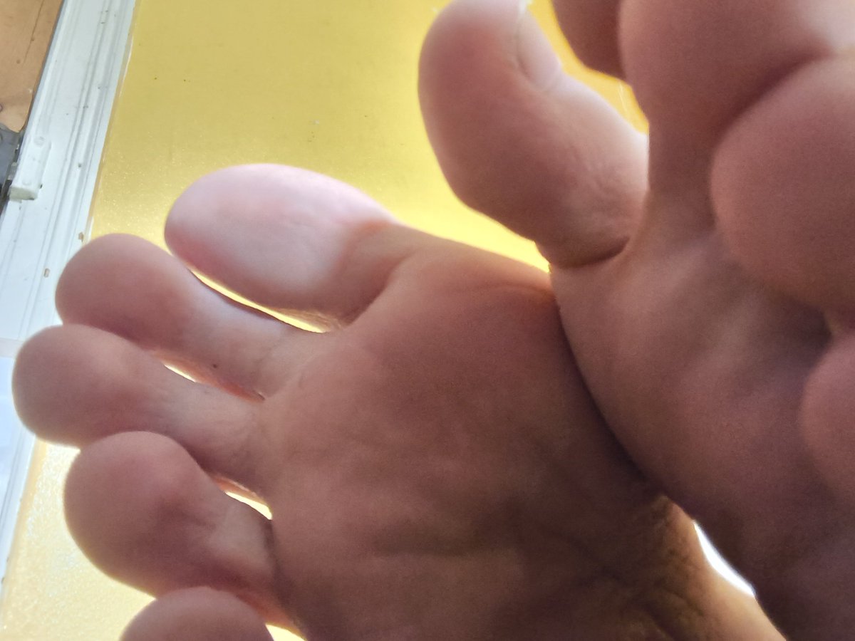 Snek soles tweet media