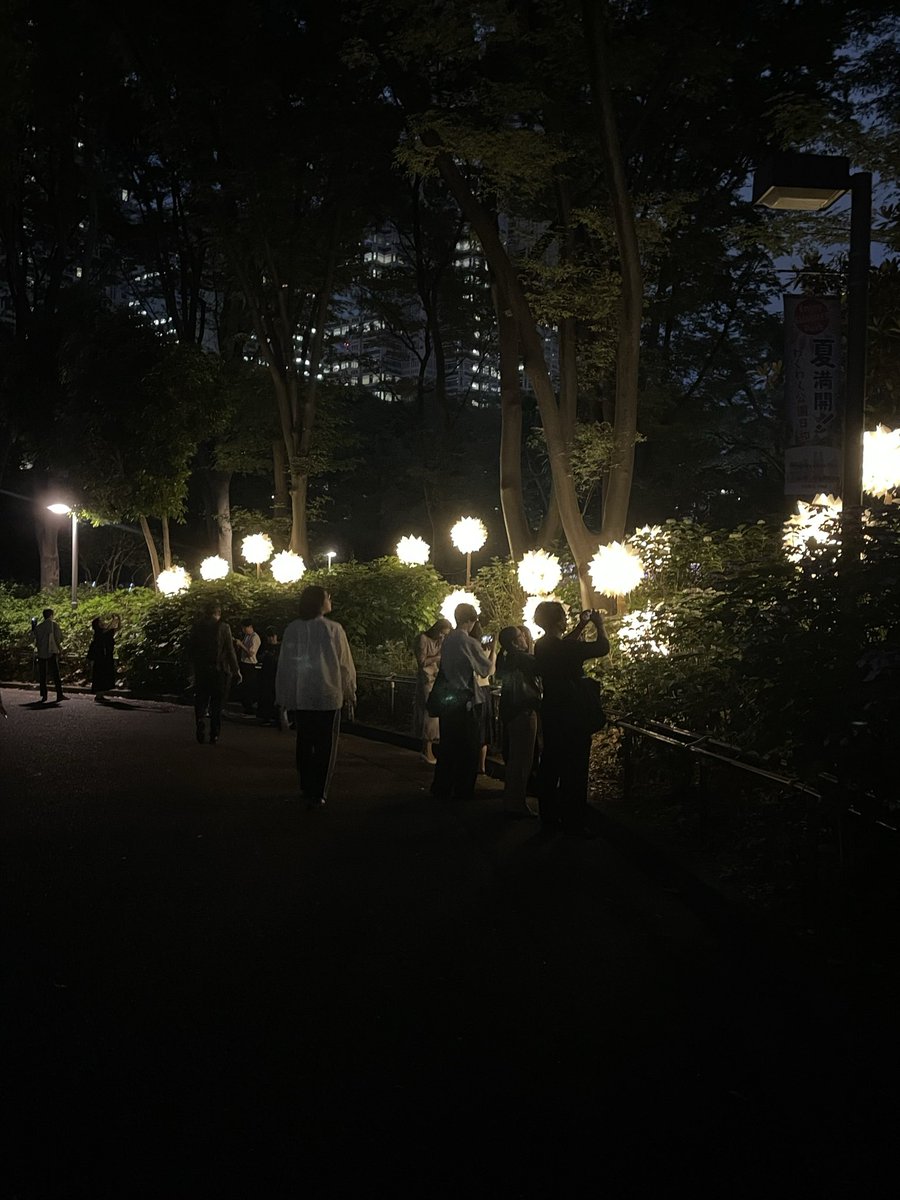 notsimpleday's tweet photo. 新宿中央公園行ってきた！
キラキラ〜✨ https://t.co/0B4GaMls5u