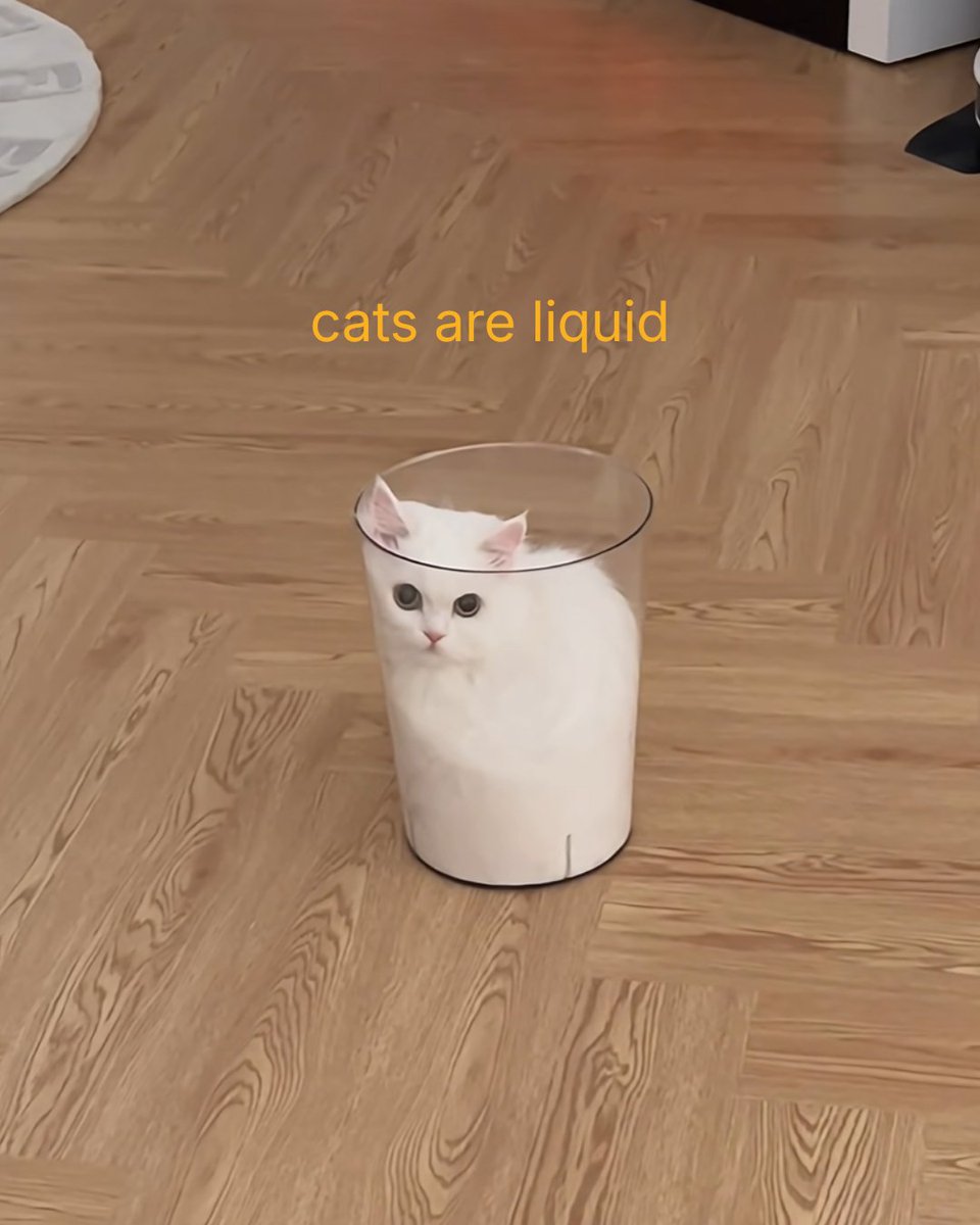petpivot's tweet photo. cat parent recognizes… which one does your cat do? 😂🐈😻

#petpivot #autoscooper #catmeme #cat #catvideo #funnycat #catmoment https://t.co/WuPoPqXIUt