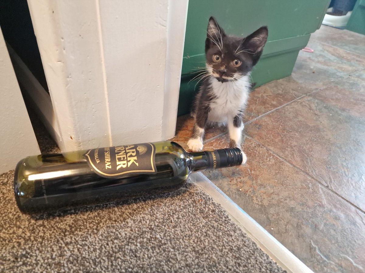 holly's tweet photo. When I said "give the baby a bottle," this is not what I meant! https://t.co/PDRu7rhbHF