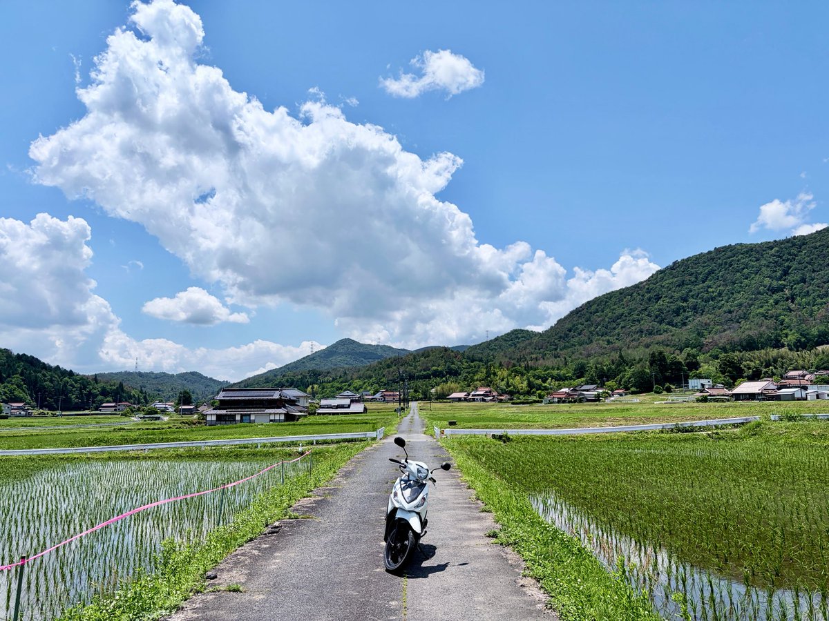 Bellmonya's tweet photo. 今日はリコールとオイル交換しにバイク屋さんにメンテしに行ったよ🏍️
時間かかるからスクーター貸してもらって散策してたよ〜🤗 https://t.co/TuGEhLa5so