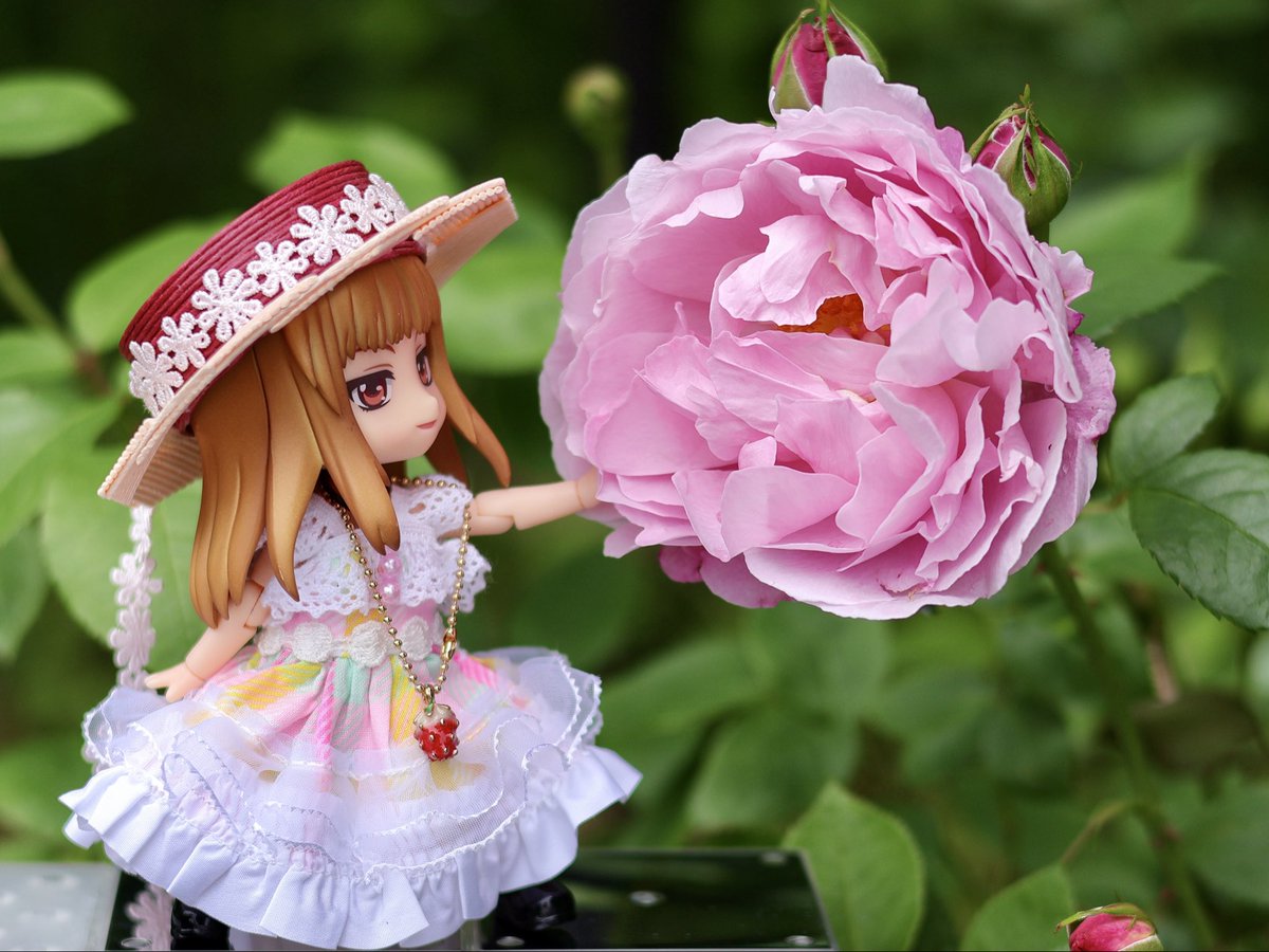 作家様　ネオブライス用　布花帽子　薔薇　バラ　ピンク 深夜のねんどろ撮影60分一本勝負 5/29【しあわせ】ふらいんぐ ピンク