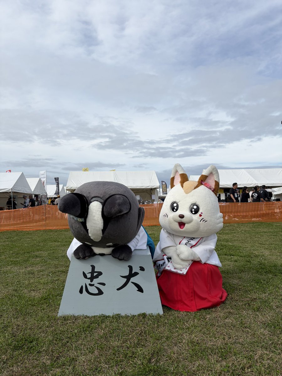 このたび、シロちゃんの分身であるブラックシロちゃんが 『忠犬宣言