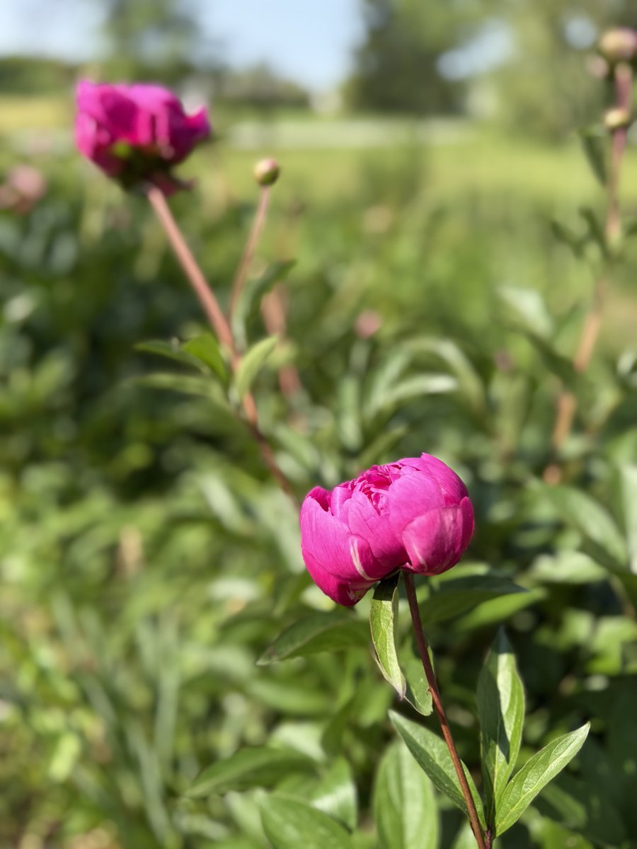 lookwithlaura's tweet photo. Spring is calling! π·β¨ Give your home that wow-factor with a fresh burst of curb appeal. Think vibrant flowers, a new doormat, or a fresh coat of paint!
Small touches = BIG impressions. Ready to make your house shine?
#CurbAppeal #SpringRefresh #HomeGoals https://t.co/cAEvdZKuD3