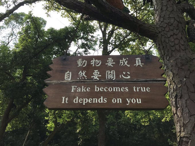 rare_jpg's tweet photo. https://t.co/Tnf5l64i1s