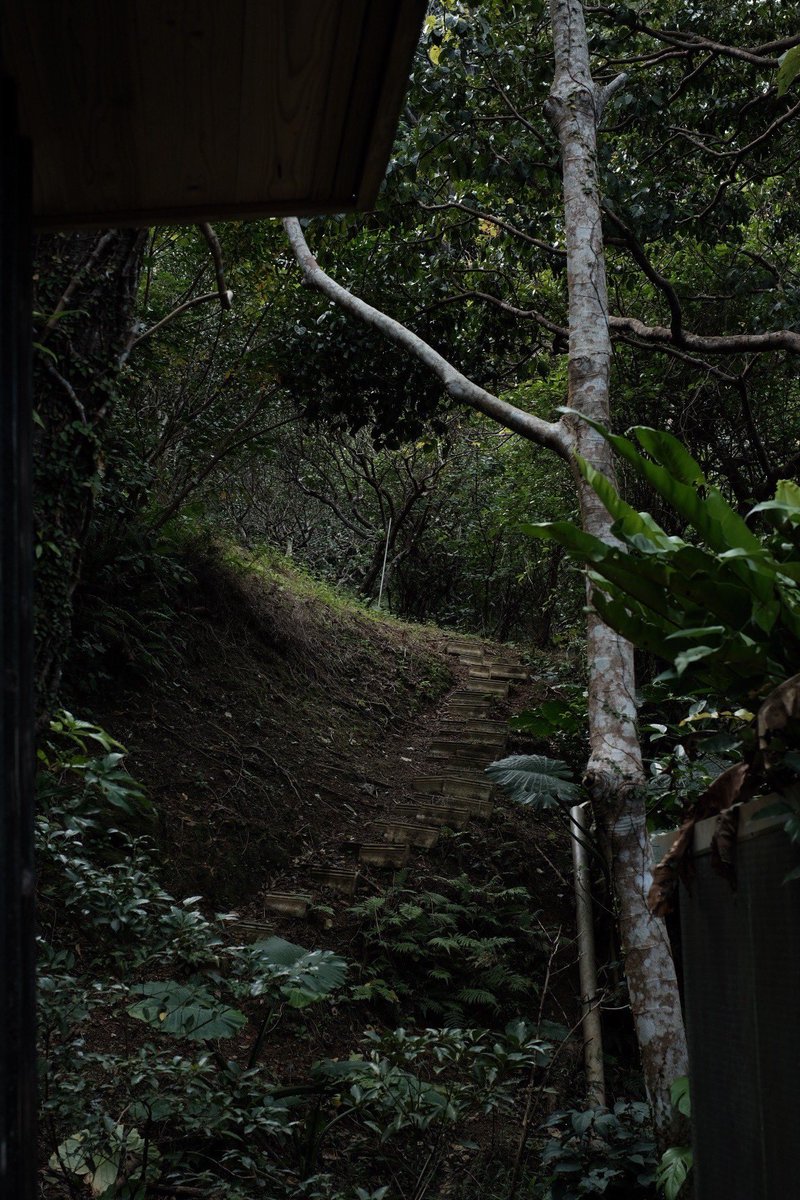bunasauna's tweet photo. 【BUNA SAUNAから大切なお知らせ】
やんばる植物のウィスクについて
これまでBUNASAUNAでは、やんばる植物を使ったウィスクをご提供してきました。
植物と向き合う中で、今の採取量や関わり方が、森や植物にとって本当に心地よい距離なのかを考えるようになりました。そんな想いから、やんばる植物のウィスクは、一旦休止させていただきます。少しだけ物足りないかもしれませんがご理解宜しくお願い致します。
今は、花になり、種になって、芽吹く、その美しい景観をゆっくり楽しんでいきたいと思います。

先月から新しくフェイスクレイも体験いただけるようになりましたので、そちらもお楽しみくださいね。すごくおすすめです🌿
BUNASAUNAが届けたいのは、ウィスクそのものではなくて、サウナやこの土地の自然と向き合う二時間の中で、「楽しいなー」とか、「香りとか詳しくないでいけどいい香りだなー」とか、「サウナ詳しくないけど気持ちいいなー」とか、「幸せだなー」とか、「なんか、いいなー、好きだなー」とかそんな、日々の中でつい置き去りがちな大切な感覚と、少しでも向き合ってもらえたら嬉しいなと思いながら、日々営んでいます。
そう思わせちゃうエネルギーがここにはあるなーって僕は、感じます。

届けたいのは、案外そういう時間と感覚なんです。