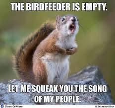 SleepEasyPC's tweet photo. HAPPY FRIDAY!

🐿️ When the squirrels call lol

Have a wonderful weekend!

Contact us for your wildlife proofing needs!

#Guelph #GuelphPestControl #GuelphHomeInspections #SleepEasyPestControl #Fergus #Elora #FergusPestControl #EloraPestControl #CarpenterAnts #SquirrelMeme https://t.co/Jsnxy5tlEr