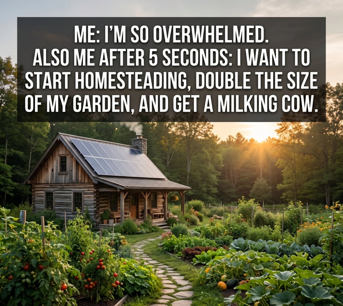 HenrySaylorr's tweet photo. How to Become Self-Sufficient on ยผ Acre
๐ https://t.co/GvuwhfFFoy
#gardening #homestead #selfsufficient #offgridlife #urbanhomestead https://t.co/1EBxvEVB7e