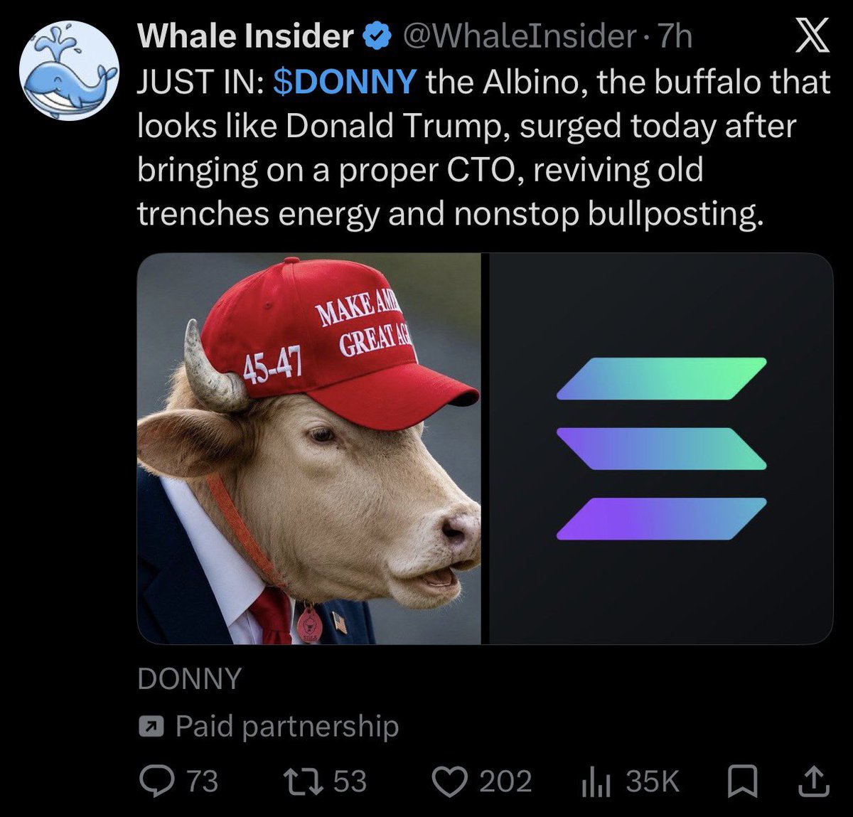 Schoen_xyz's tweet photo. btw if you’re in $donny over $trump im sorry for whatever pillaging this mf Nikolai is about to do to you

every news source has said the name of the bull is “Donald Trump” except for @WhaleInsider and another crypto news account which are known to be paid shills https://t.co/5sLetS5dIq