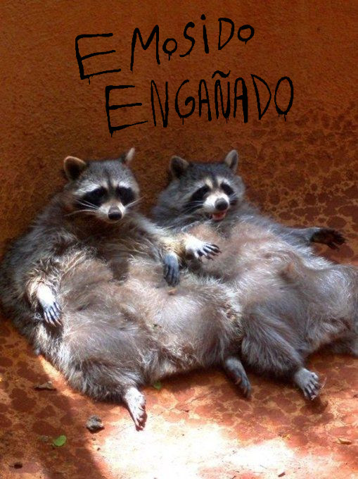 Yemuyin's tweet photo. - Mi credo es el del pato.
- ¿ eh...?
- Si habla como un pato, anda como un pato, se ve como un pato, entonces, es un pato.
- ¿ Ya tenéis iglesia...?
- Está en trámite.
#2Mapaches https://t.co/b1CHmqRaCA