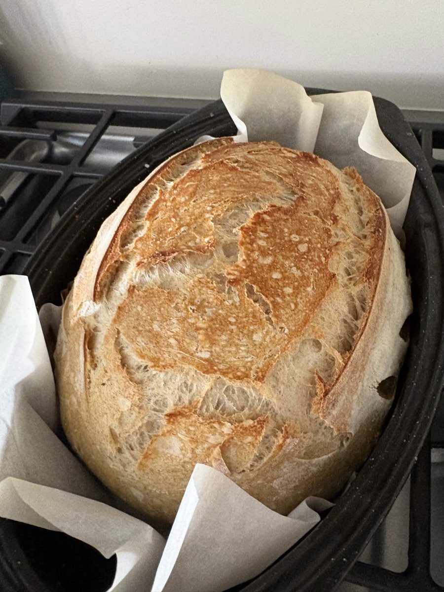 DarkLord_VT's tweet photo. @OnigiriEn_ Oh hell yeah! I make my own sourdough too. 
I don't have a favorite 'flavor' per-se, but you can make an amazing foccacia if you just get to the rubbery dough stage, then lay it on a baking sheet with oil, poke deep finger holes and stretch until flat, bake at 450 for 35~ mins https://t.co/OtjCrTbxrD
