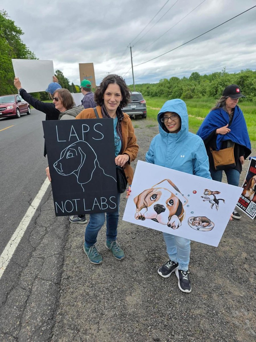 BeagleRescuers's tweet photo. Day one of the "Stand For The Beagles" vigil outside Marshall BioResources in North Rose, New York, was a success!

Supporters gathered peacefully throughout the day to be a voice for the animals still inside. NBC 13 WNYT also visited the vigil and interviewed Adam Durand, who was representing vigil host Beagle Lovers And Rescuers Inc. (BLR).

Marshall BioResources made a major PR blunder in its response to NBC 13 by stating

"protesters' "energies could be better applied toward the ongoing search for equivalent replacement methods and technologies."

The problem is that many of the people standing outside their facility are already advocating for modern alternatives and a future where animals are no longer needed for testing. In fact, that's one of the main reasons they're there.

To many people, the response comes across as tone deaf and disconnected from the very concerns protesters have been raising for years.

Today through Saturday, more people from across the country will continue arriving to stand peacefully for the dogs still inside.

STAND FOR THE BEAGLES VIGIL
May 29–30, 2026 | 9am–5pm EST
5800 Lake Bluff Road
North Rose, NY 14516

Event details link in the first comment below.

This vigil is hosted by Beagle Lovers And Rescuers Inc. (BLR), a nonprofit founded by people who opened their homes to former research beagles and refused to stay silent after learning the truth.

The beagles inside Marshall BioResources cannot speak for themselves.

But WE can