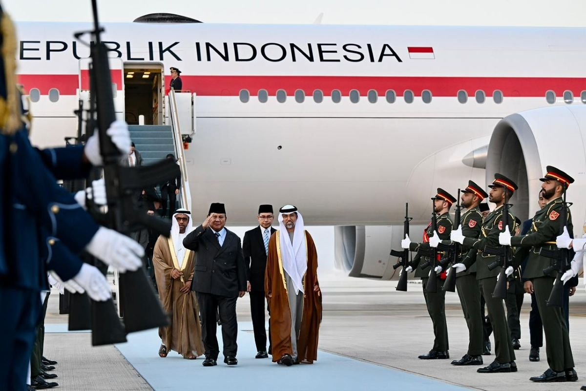 Dimar tweet media