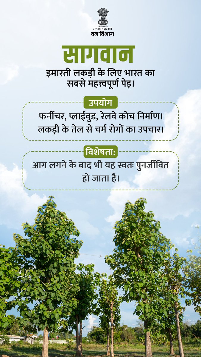ForestRajasthan's tweet photo. राजस्थान के विविध जंगलों में अनेक महत्वपूर्ण वृक्ष पाए जाते हैं, जो आर्थिक एवं पारम्परिक रूप से स्थानीय समुदायों के लिए बहुउपयोगी हैं। हर पेड़ हमारी सांस्कृतिक विरासत और प्राकृतिक सुरक्षा का हिस्सा है।
#ForestConservation #GreenRajasthan #TreeProtection #RajasthanForests https://t.co/K3RCwYPEfy