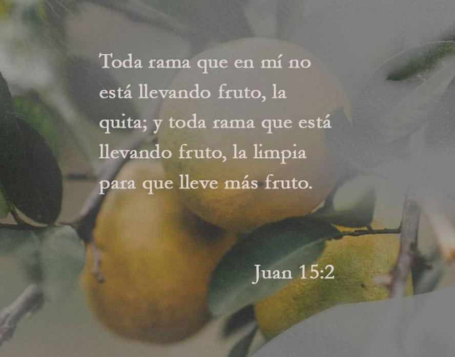 Edita Rodriguez tweet media