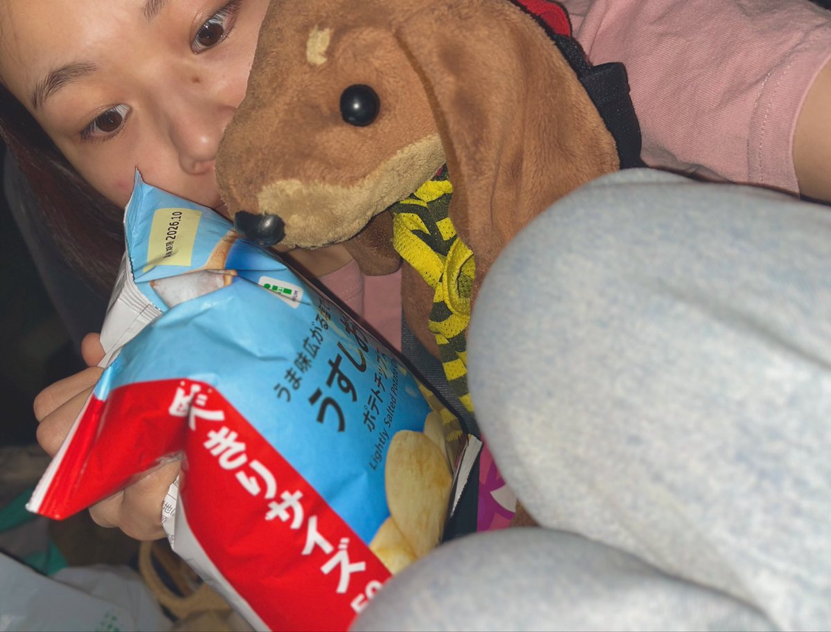 chinrika_1116's tweet photo. 静岡へ出発〜🐶🚗！

https://t.co/3z18tnq8gj https://t.co/8tV0PoWUtr