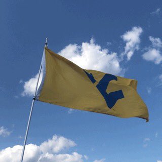 maloney_aaron's tweet photo. Let’s Gooooooo @WVUBaseball https://t.co/vkJ8YlinGT