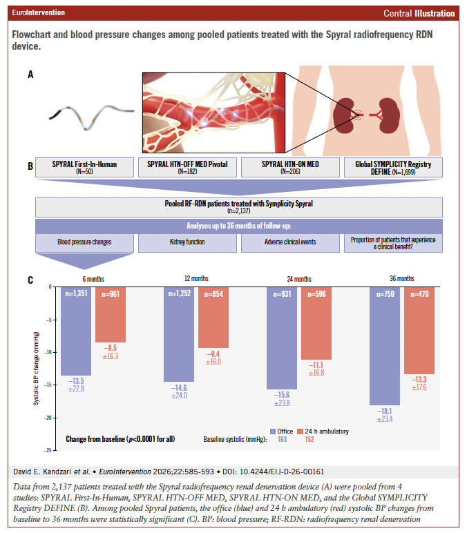 EuroInterventio's tweet photo. How durable is the blood pressure-lowering effect of renal denervation?
In this pooled analysis of 2,137 patients from the SPYRAL Clinical Program, radiofrequency renal denervation was associated with sustained reductions in office and ambulatory blood pressure through 3 years, with nearly 90% of patients experiencing a clinical benefit and few adverse events.
#Hypertension #RenalDenervation #RDN

https://t.co/aFC7h80NDk 

@Kandzari @markus_schlaich @FelixMahfoud