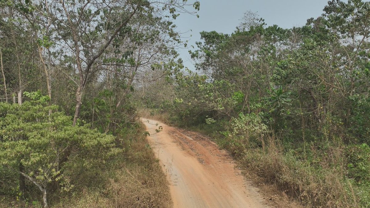 oddis4sure's tweet photo. Boki East West Road under  construction

#GovOtuAt3 https://t.co/Ob5ap4kS4w