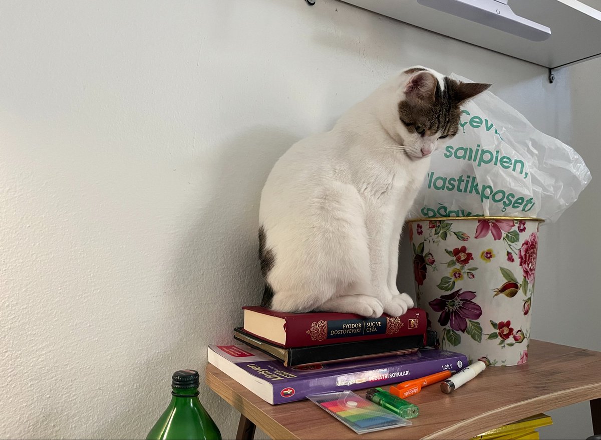 ylightio's tweet photo. LAN NOLDU NİYE KÜSTÜN YİNE KIZ https://t.co/skM7FvOUdz