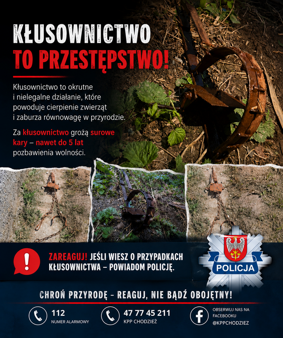 PolskaPolicja's tweet photo. ❗️Kłusownictwo to przestępstwo 
Wnyki i nielegalne pułapki działają w ciszy, ale krzywdzą bezlitośnie. Zwierzęta, które w nie wpadają, często przez wiele godzin walczą o życie w niewyobrażalnym bólu i cierpieniu. Co najgorsze - takie pułapki działają bez kontroli. 

Ofiarą może paść dzika zwierzyna, gatunki chronione, a także psy i koty spacerujące z Wami po lesie czy w okolicach zbiorników wodnych. W ukryte w terenie wnyki mogą wpaść również ludzie!

❗️ Przypominamy: kłusownictwo, nielegalne stosowanie oraz posiadanie narzędzi służących do chwytania lub zabijania zwierząt to poważne przestępstwo, za które grozi kara nawet do 5 lat pozbawienia wolności!

➡️Chroń przyrodę - reaguj, nie bądź obojętny!
Jeśli podczas spaceru zauważysz wnyki, podejrzane sidła lub masz wiedzę o przypadkach kłusownictwa - natychmiast powiadom odpowiednie służby!

Policjanci konsekwentnie reagują na przypadki łamanie prawa wobec zwierząt i środowiska naturalnego. Funkcjonariusze z KPP w Chodzieży ujawnili nielegalne urządzenia służące do chwytania lub zabijania zwierząt i zatrzymali 78-latka.

Szczegóły sprawy poniżej:
➡️https://t.co/V8KEF0oNqw