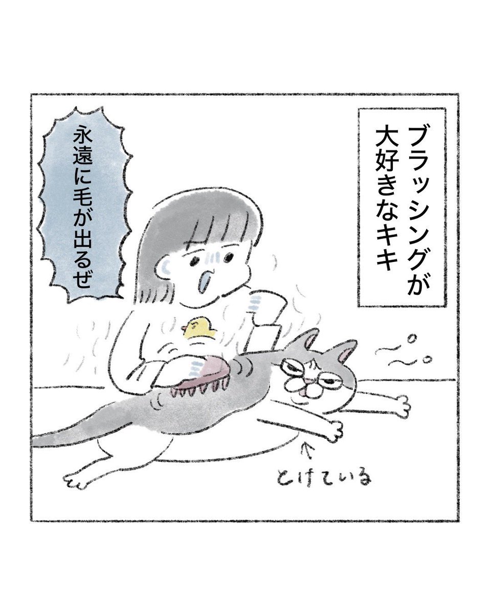 __uminonaka_'s tweet photo. 【猫漫画】

猫の毛が抜ける時期ですねｨ https://t.co/f5D3xolptw
