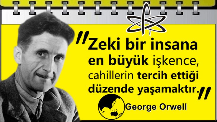 erdem cansever tweet media